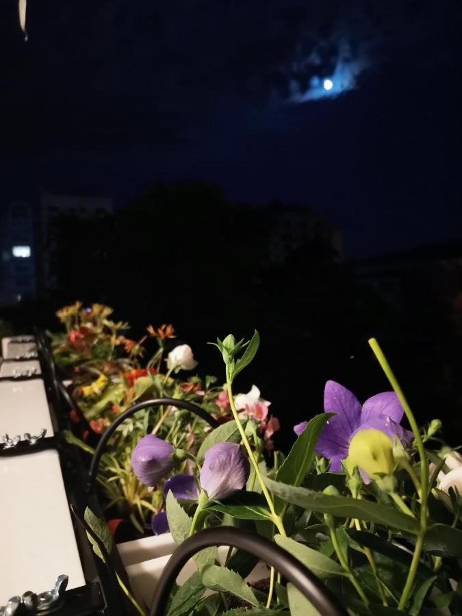 Bloom Box Apartments クラヨーヴァ エクステリア 写真