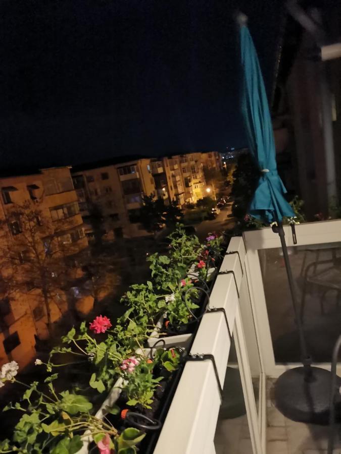 Bloom Box Apartments クラヨーヴァ エクステリア 写真